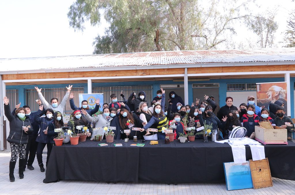 Día Nacional de la Miel: destacan trabajo de apicultores en colegio Francisco Petrinovic, de Chacabuco