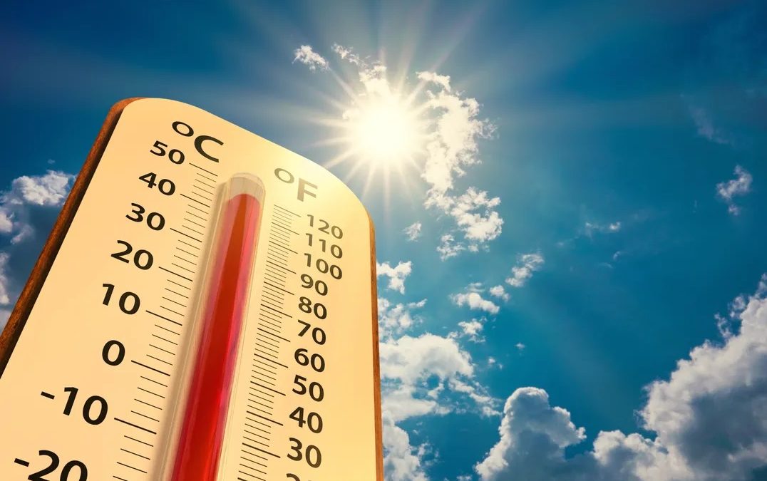 Experto pronosticó temperaturas sobre 40° este verano: Chillán y Cauquenes serían las más calurosas