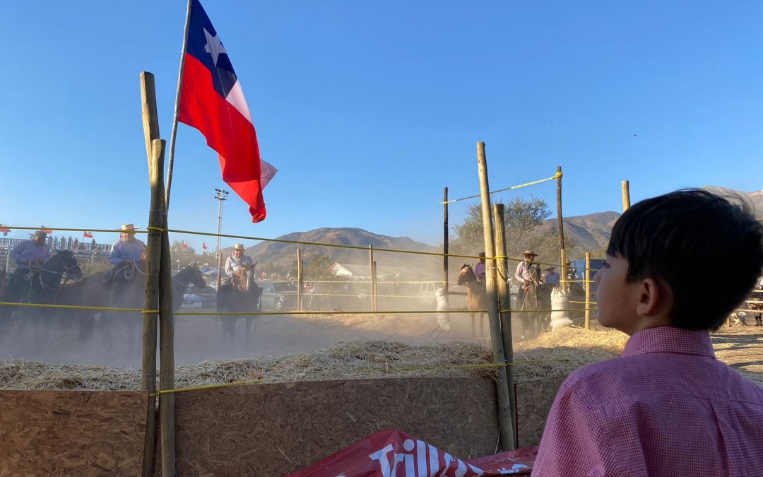 Cultura, tradición y unión familiar fue la tónica de Trilla a yegua suelta y encuentro de escuadras ecuestres en comuna de Colina