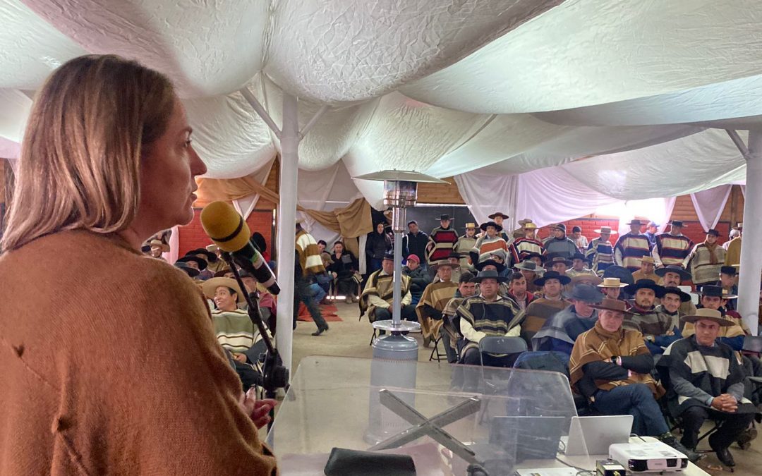 Federación del Rodeo realizó educativa charla sobre Embocaduras y Bienestar Animal en Colina